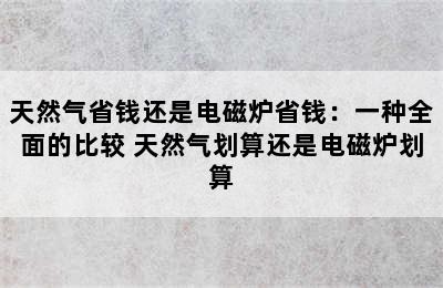 天然气省钱还是电磁炉省钱：一种全面的比较 天然气划算还是电磁炉划算